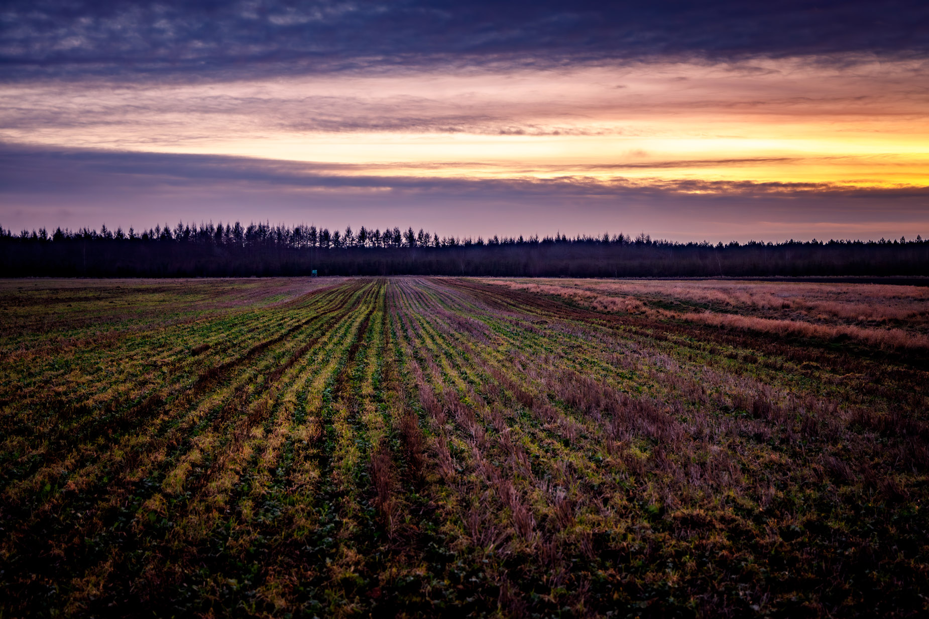 Sunset in Ängelholm